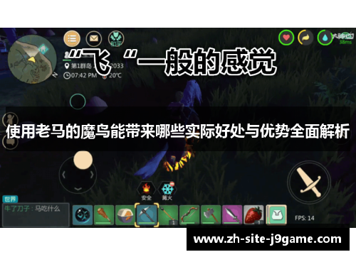 使用老马的魔鸟能带来哪些实际好处与优势全面解析 使用老马的魔鸟能带来哪些实际好处与优势全面解析