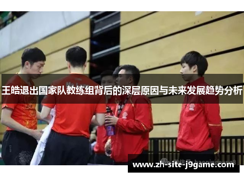 王皓退出国家队教练组背后的深层原因与未来发展趋势分析